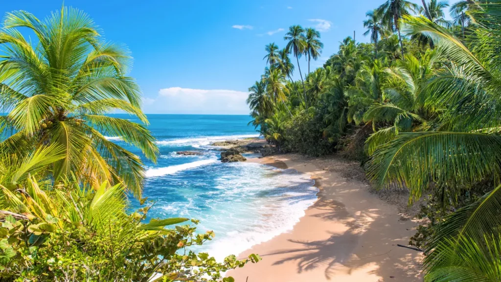 Best Time to Visit Costa Rica