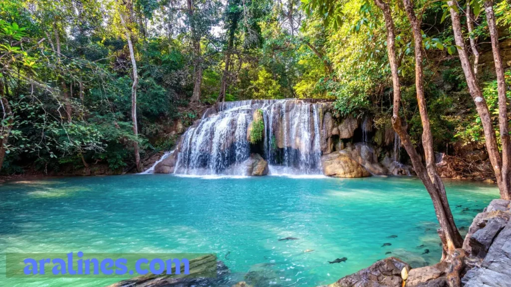 Best Time to Visit Costa Rica