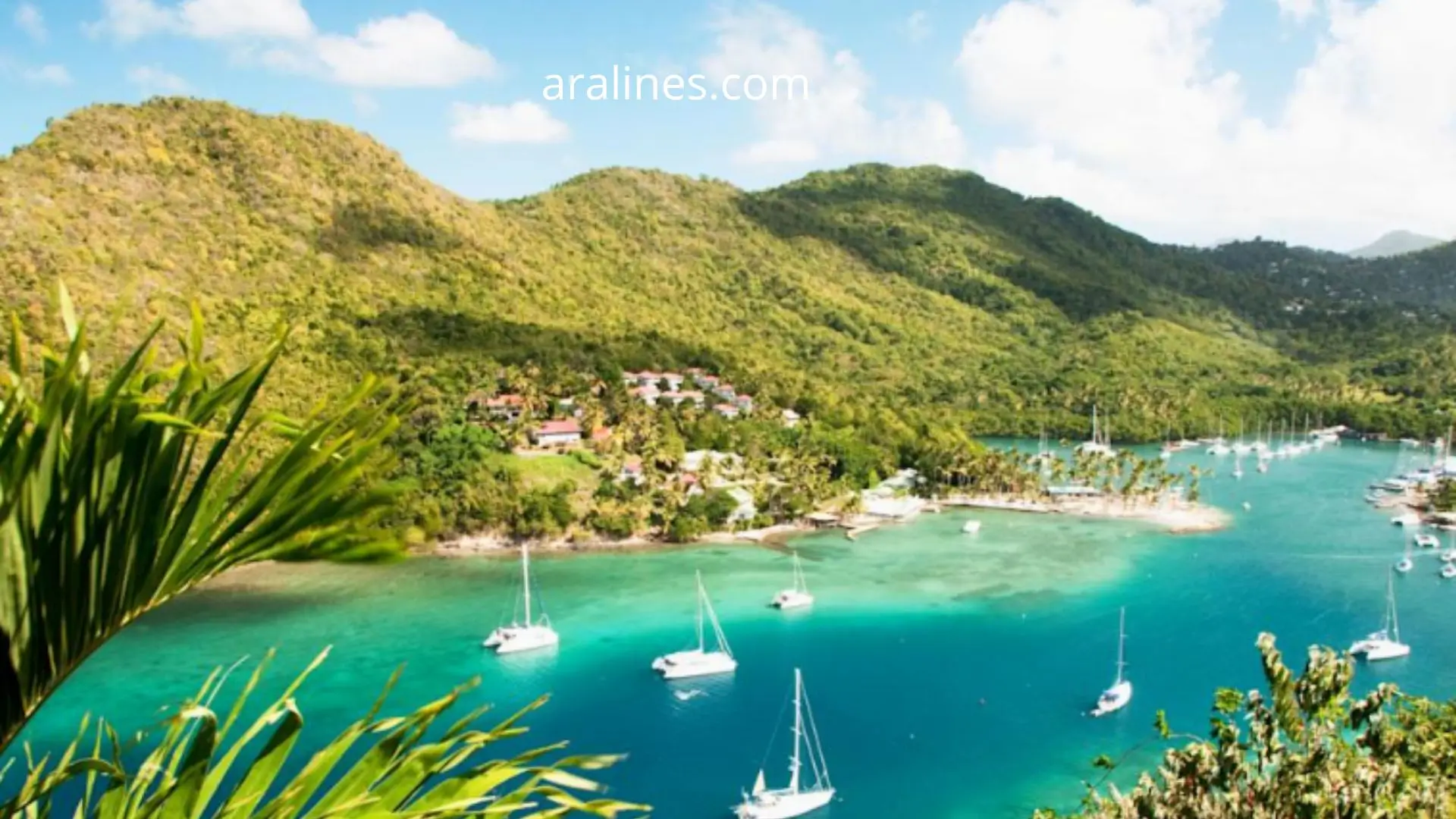 Best Time to Visit St. Lucia