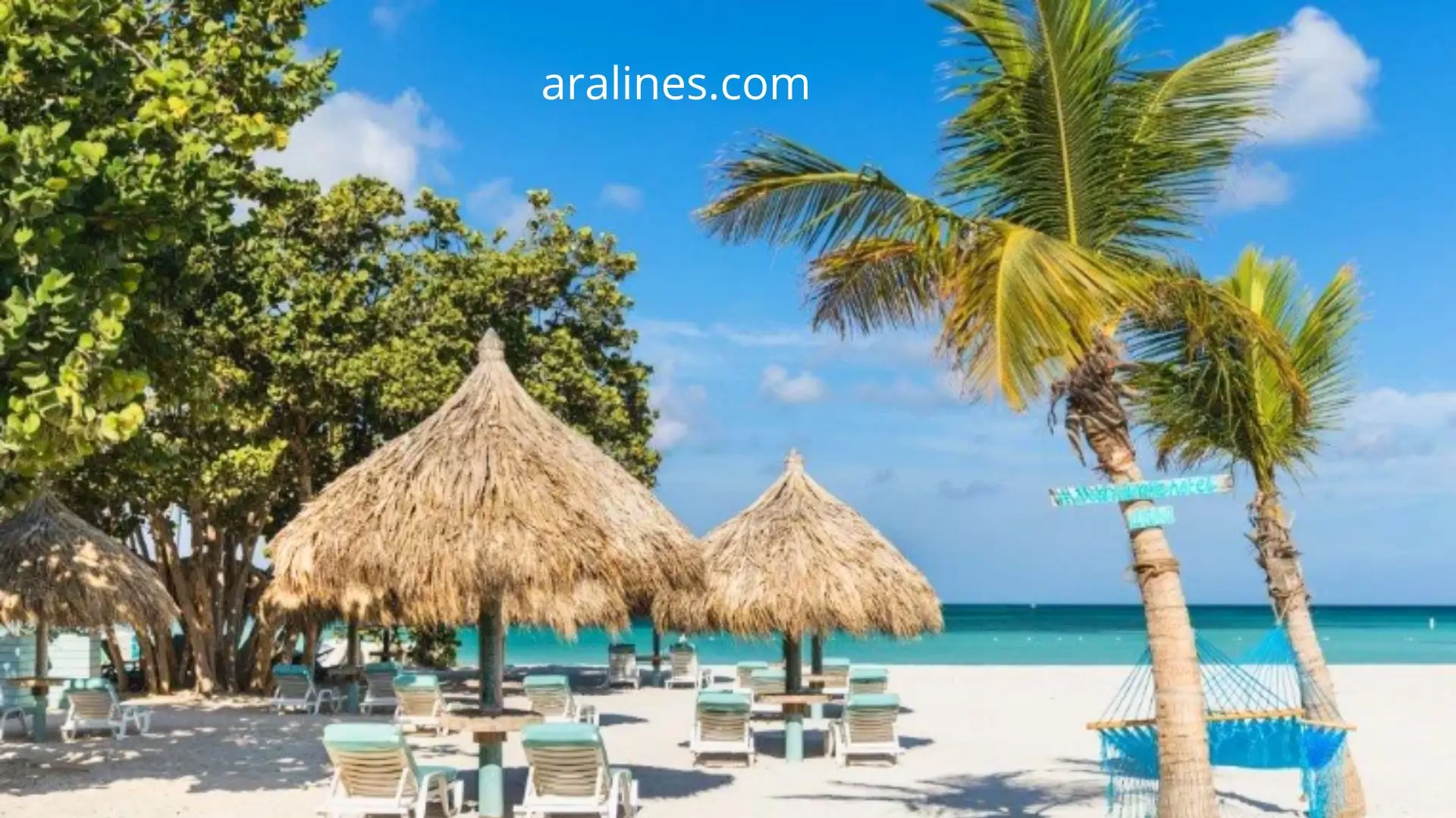 Best Time to Visit Aruba