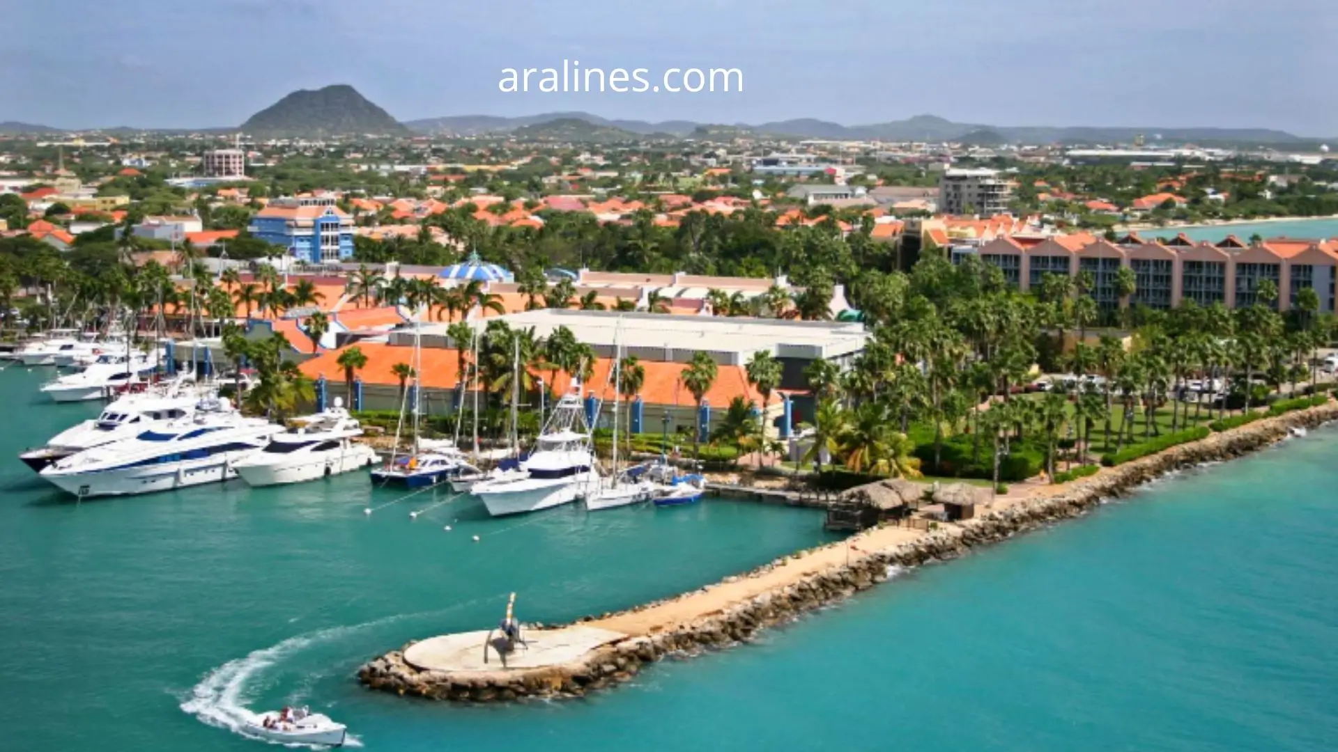 Best Time to Visit Aruba
